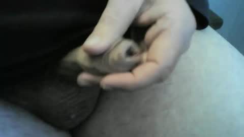 Snapshot of jellydaddy57 chatting on 01-24-25, 01:03 jellydaddy57 online show from 01-24-25, 01:03