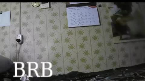 Snapshot of jellykulli chatting on 03-03-25, 04:24 jellykulli online show from 03-03-25, 04:24