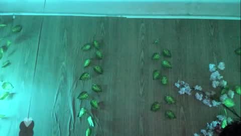 Jenelotizz online show from 09-27-25, 06:24