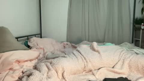 Mistress Jenni online show from 12-11-24, 06:47