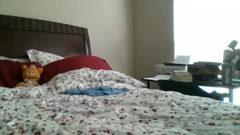 Jennibean6996 online show from 09-30-25, 01:49