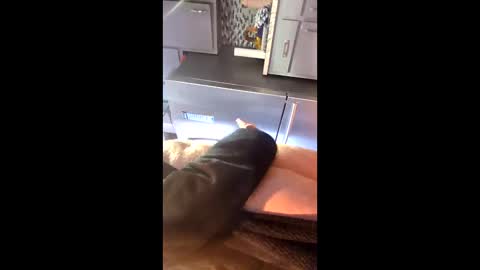 jerkcock260000 online show from 02-16-26, 02:57