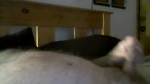 jerkmate6666 online show from 03-15-26, 09:32