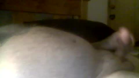 Snapshot of jerkmate6666 chatting on 04-21-26, 11:49 jerkmate6666 online show from 04-21-26, 11:49