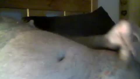 Snapshot of jerkmate6666 chatting on 05-01-26, 10:36 jerkmate6666 online show from 05-01-26, 10:36