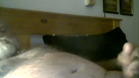 Snapshot of jerkmate6666 chatting on 05-03-26, 10:16 jerkmate6666 online show from 05-03-26, 10:16