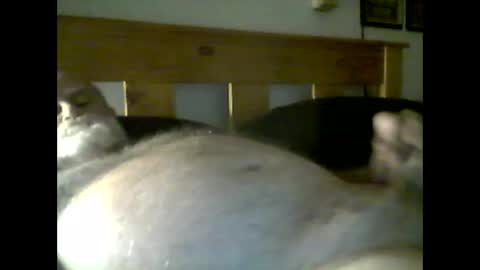 Snapshot of jerkmate6666 chatting on 05-09-26, 03:56 jerkmate6666 online show from 05-09-26, 03:56