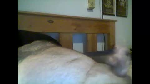 Snapshot of jerkmate6666 chatting on 05-15-26, 12:50 jerkmate6666 online show from 05-15-26, 12:50