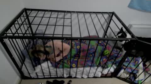 Snapshot of jesdoingnsfw chatting on 03-17-26, 02:27 jesdoingnsfw online show from 03-17-26, 02:27