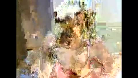 jessajoyy online show from 02-01-25, 04:11