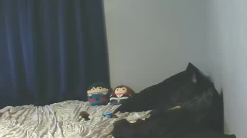 Sissy Jessica online show from 01-08-26, 06:05