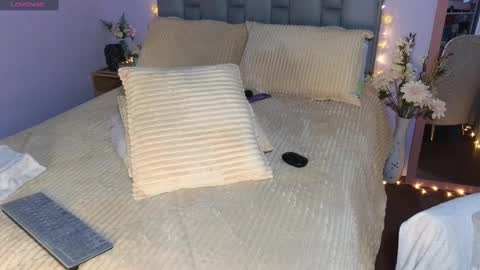 Snapshot of jessie_gomez chatting on 01-25-25, 02:47 Sofia online show from 01-25-25, 02:47