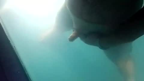 Snapshot of jettin36 chatting on 03-20-26, 11:59 Uncut thick 5 online show from 03-20-26, 11:59