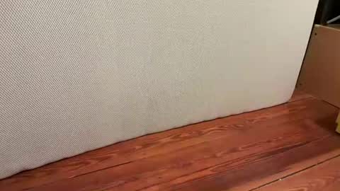 Snapshot of jetzzurssi chatting on 01-16-26, 06:39 me online show from 01-16-26, 06:39