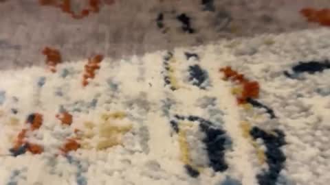 Snapshot of jetzzurssi chatting on 03-11-26, 11:44 me online show from 03-11-26, 11:44