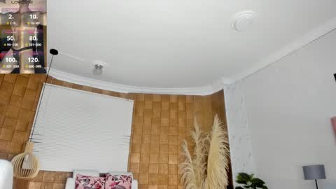 jhonaldsw online show from 01-05-25, 12:10