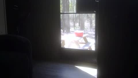 jimmy22smith22 online show from 11-12-25, 04:51