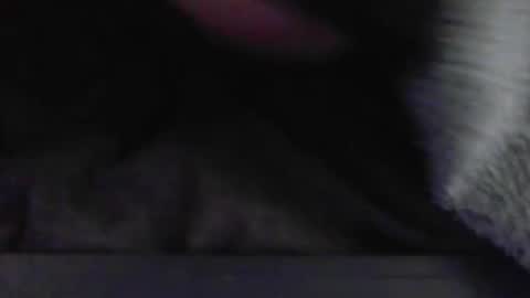 JimmyC online show from 05-13-26, 06:33
