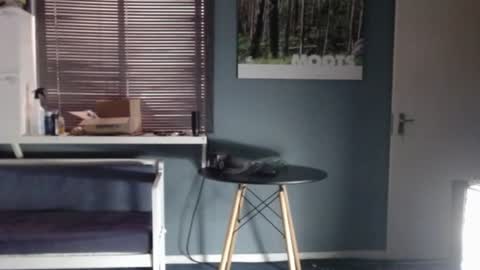 Snapshot of jjameson41 chatting on 12-18-25, 02:01 JamesJan van Rebel online show from 12-18-25, 02:01