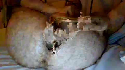 jjhot902921 online show from 06-25-26, 02:44