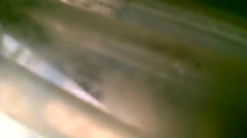 Snapshot of jlz2695 chatting on 03-06-26, 08:27 jlz2695 online show from 03-06-26, 08:27