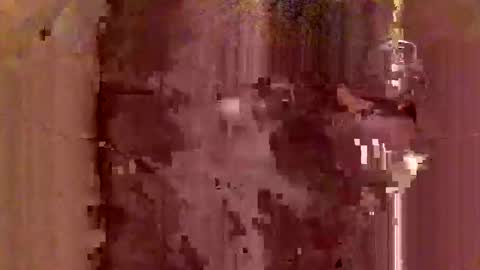 jodlsepp online show from 12-12-24, 11:47