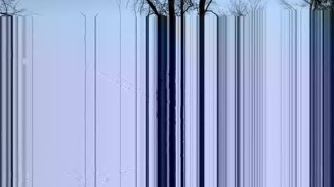 Jody Falcon online show from 02-15-26, 11:45