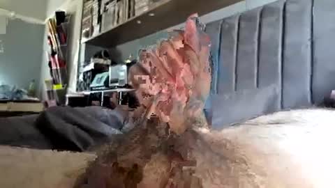 joe66661 online show from 07-20-26, 10:50