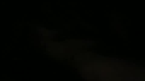 joe_3332 online show from 05-15-26, 07:48