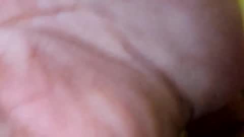 Razorbackvet online show from 02-13-26, 03:46