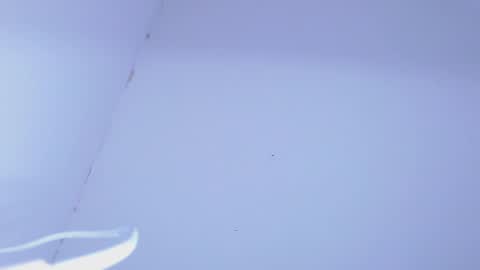 Snapshot of johanleonsweetboy chatting on 02-05-25, 11:28 JOHAN independient model online show from 02-05-25, 11:28