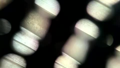 johnlong25cm online show from 06-07-26, 02:54
