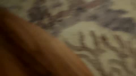 johnny235813 online show from 09-18-25, 03:52