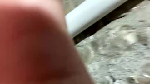 Johnny online show from 01-21-25, 06:23