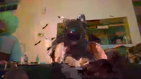 johnnyadepth online show from 11-01-25, 01:07