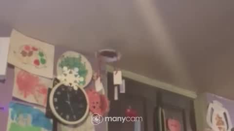 johnnyshung1 online show from 12-16-24, 09:57