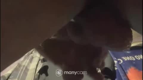 johnnyshung1 online show from 02-02-25, 01:08