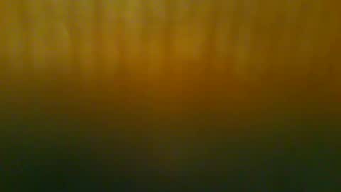 Snapshot of johnnyshung1 chatting on 12-21-25, 11:50 johnnyshung1 online show from 12-21-25, 11:50