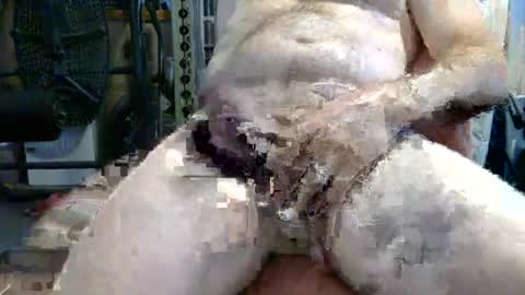 Snapshot of johnstrong699 chatting on 06-14-26, 03:47 johnstrong online show from 06-14-26, 03:47