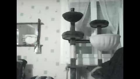 jojo60000529566 online show from 01-08-25, 07:13