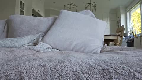 jonesy420xoo online show from 10-08-25, 11:24