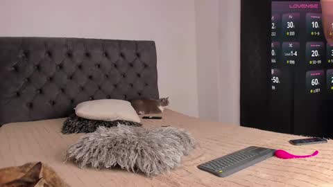 Will online show from 12-28-24, 11:37