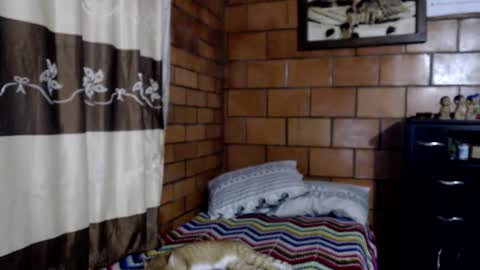 joseph online show from 11-10-25, 03:49