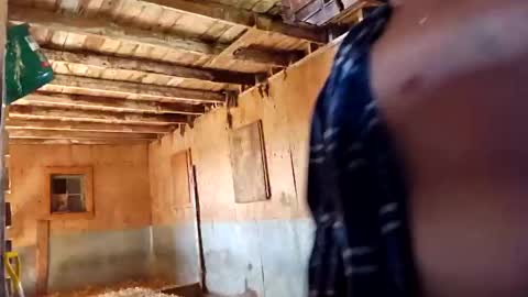 Snapshot of joshnewman540 chatting on 09-14-25, 07:02 joshnewman540 online show from 09-14-25, 07:02