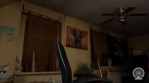 jott604214 online show from 03-08-26, 08:23