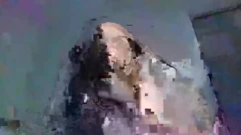 joyceandjacob online show from 09-29-25, 06:57
