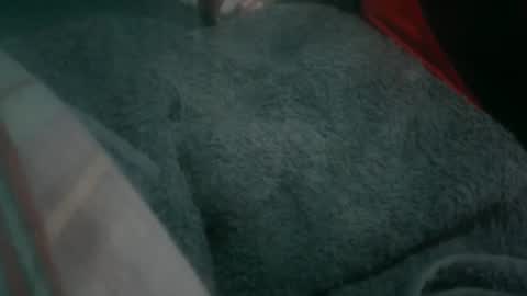 Snapshot of jraiven chatting on 05-19-26, 01:56 Soy Rai online show from 05-19-26, 01:56