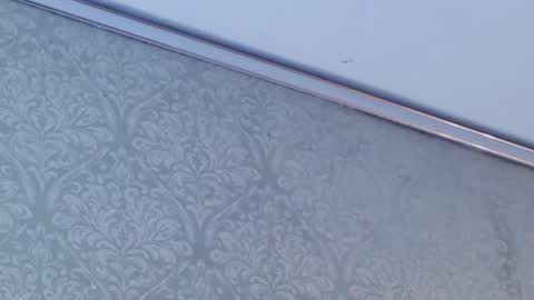 juanita online show from 02-12-26, 05:52