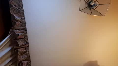 juanka85564456 online show from 02-09-25, 12:49