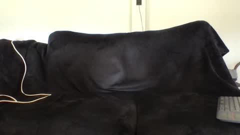 Snapshot of juanmamestre94 chatting on 02-27-26, 02:39 juanmamestre94 online show from 02-27-26, 02:39